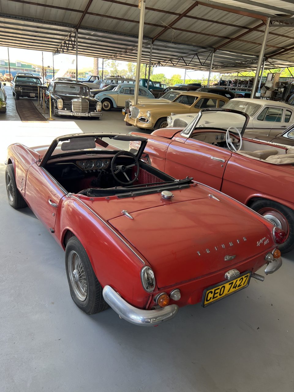 1A39E1EA-4959-4F4C-8DD7-FCF38972D8C1