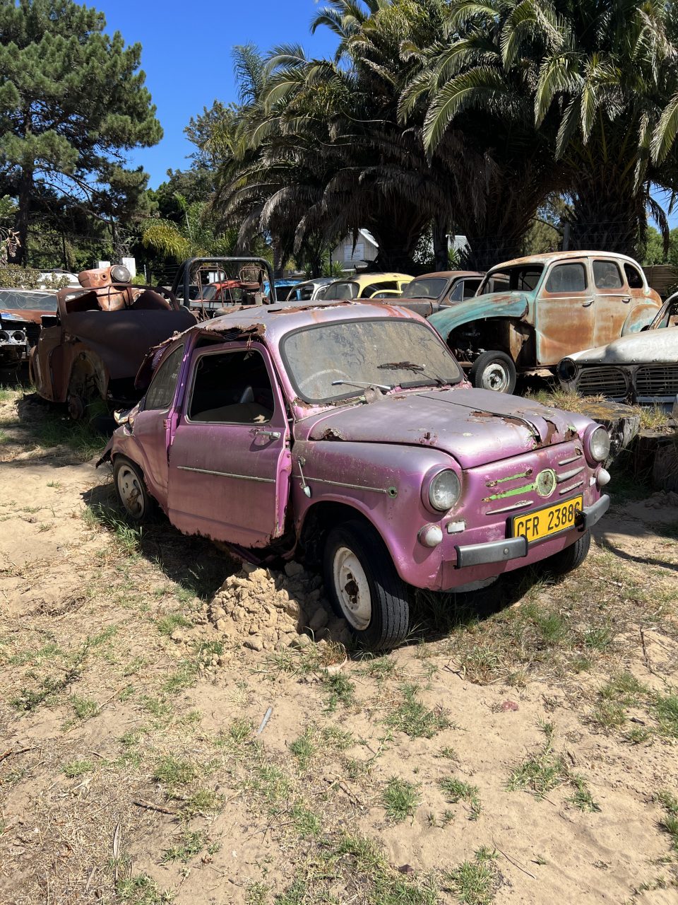 2E35BC1C-82CB-4A4A-9B81-20328C8EF748