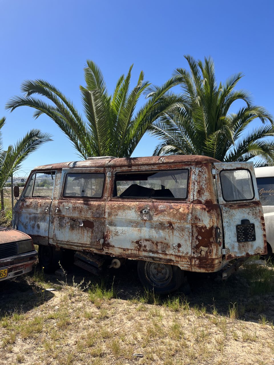 3A7672A1-EE19-4A73-9D33-405196C0E2F8