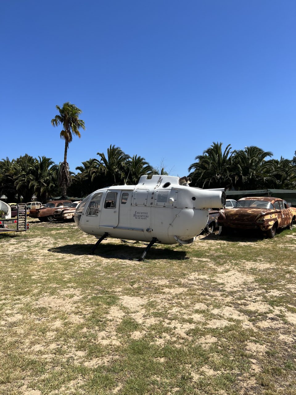 90B0B43F-7C52-4C25-A3A0-F09578E6569F